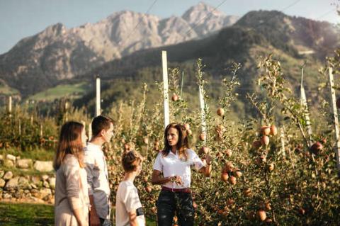 VIP-Ausflüge VIP-Ausflüge
