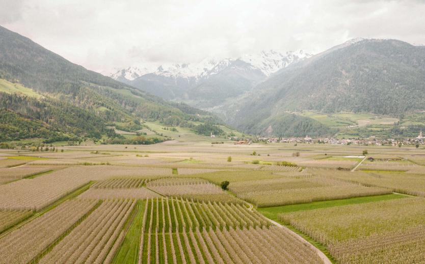Cabriotouren durch Südtirol Cabriotouren durch Südtirol