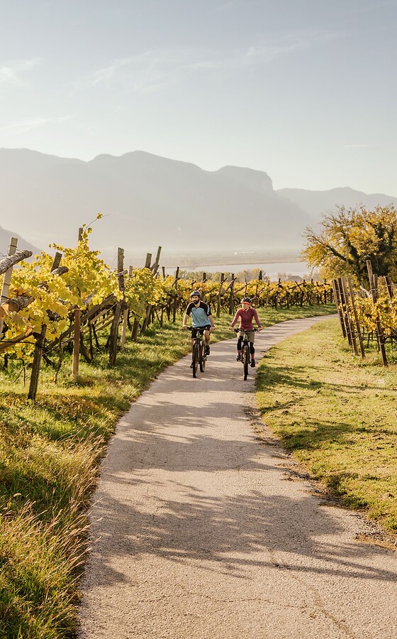 Frau und Mann radeln mit E-Bike durch herbstliche Weinberge