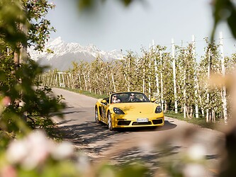 Man and woman driving yellow Porsche convertible through apple orchards in the Alps