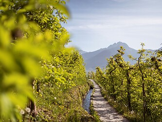 Waalweg inmitten grüner Wiesen vor Bergpanorama