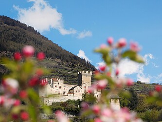 Die mittelalterliche Churburg im Frühling