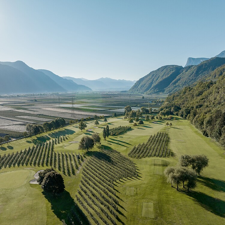 Drohnenaufnahme von Golfplatz zwischen Apfelplantagen und Bergen