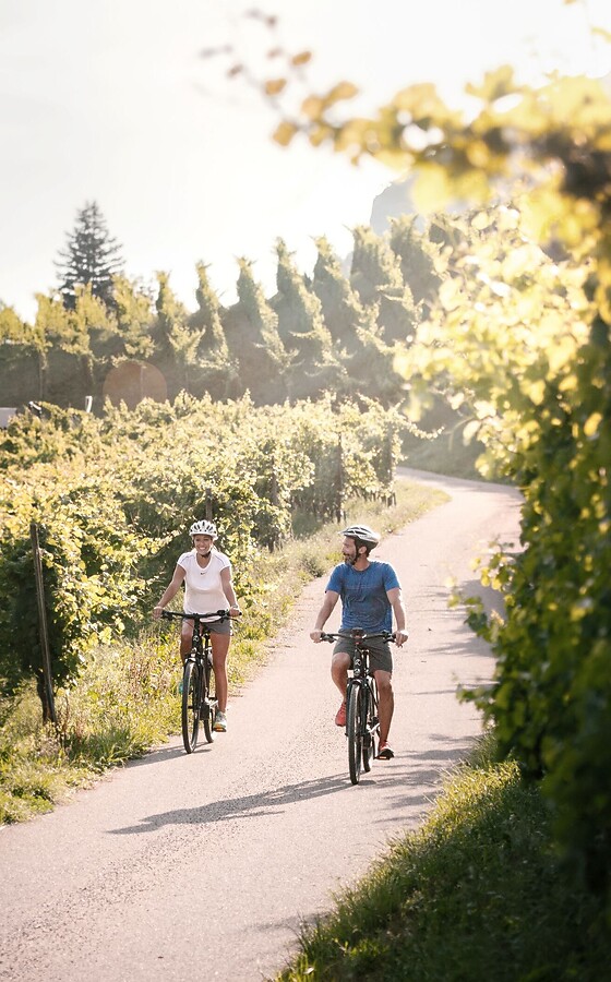 Woman and man cycling between apple orchards and vineyards