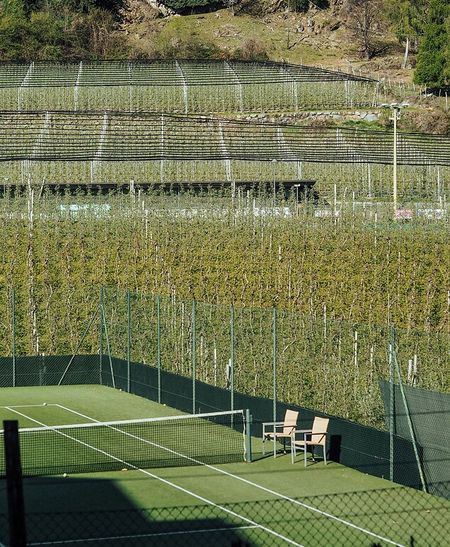 Tennis court among apple orchards in partial shade