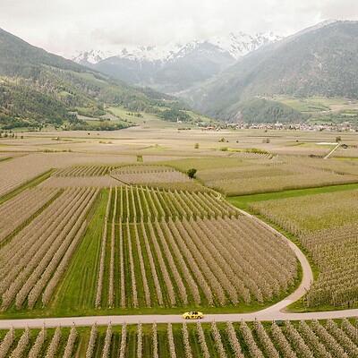 Drohnenaufnahme von gelbem Cabrio inmitten von Apfelwiesen und Alpen
