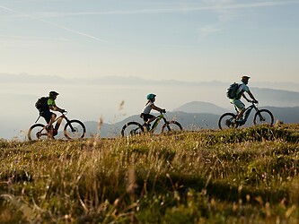 Family cycling across a flower-filled meadow in the mountains