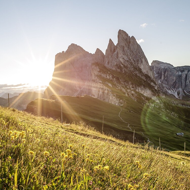 Dolomites with blooming meadow and rising sun