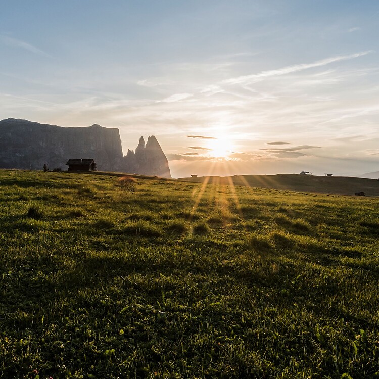 A vast panoramic view over the lush green alpine meadows of the Seiser Alm at sunset; in the background, the striking silhouette of the Schlern massif stands out against the golden evening sky.