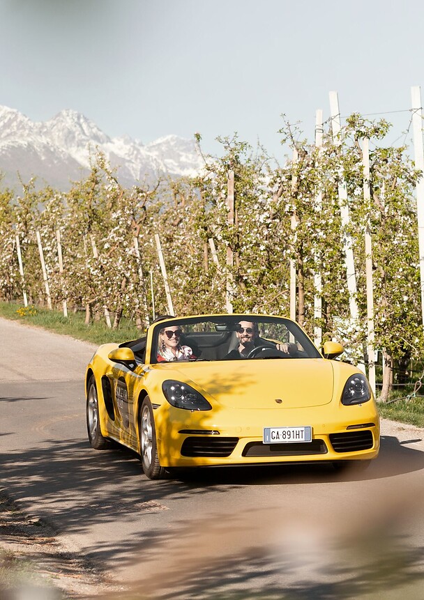 Porsche convertible ride through blooming apple orchards