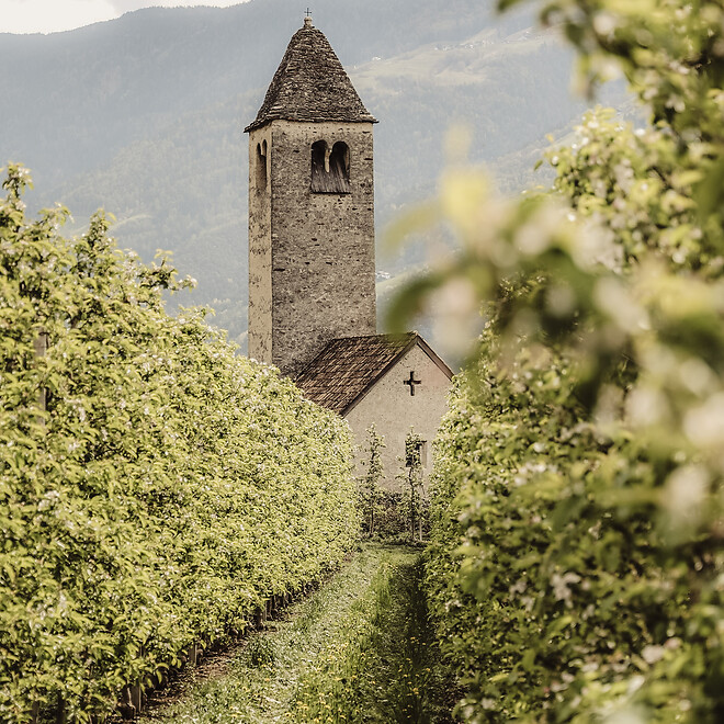 Alte Prokuluskirche bei Apfelwiesen