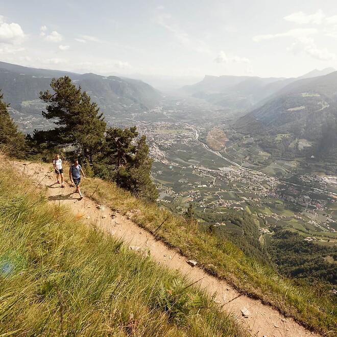 Alta Via die Merano
