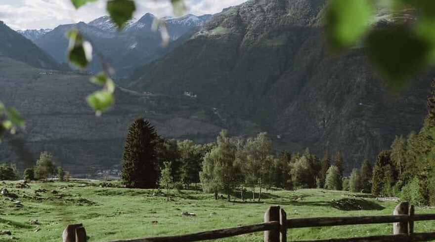 GreenCard Naturno