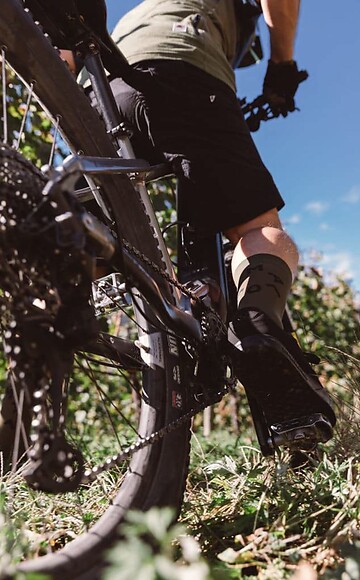 Viaggio enogastronomico in Alto Adige con la E-MTB