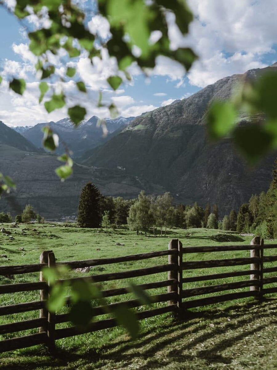 GreenCard Naturno