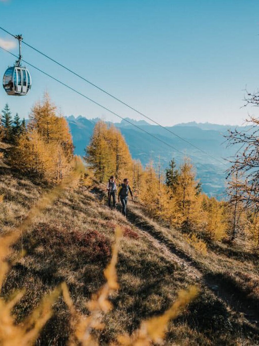 Autumn Special -25%