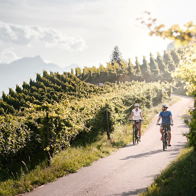 Frau und Mann beim Radfahren zwischen Apfelplantagen und Weinbergen