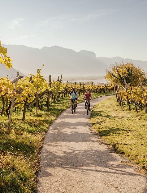 E-biken zwischen Weinreben am Kalterer See