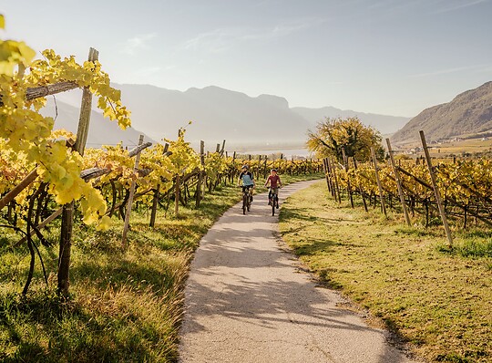 E-biken zwischen Weinreben am Kalterer See
