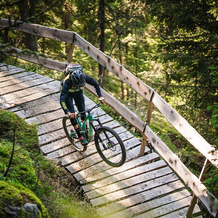Ein Mountainbiker fährt über eine steile Holzrampe auf einem Trail im dichten, sonnendurchfluteten Wald.