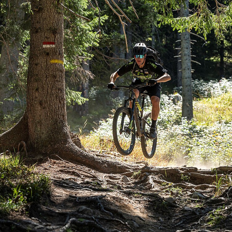 Ein Mountainbiker springt mit seinem Bike über eine Baumwurzel auf einem Waldtrail, während Sonnenlicht durch die Bäume fällt.