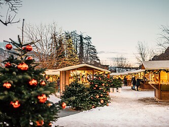A festively decorated Christmas tree with red baubles in the foreground of the Sterntaler Christmas Market in Lana, with brightly lit wooden stalls creating a cozy atmosphere in the background.