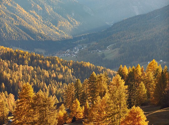 Escursione autunnale tra foglie dorate