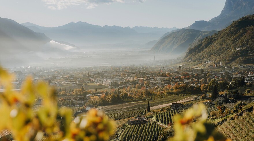 I sapori e i colori dell’autunno