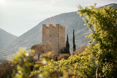 Randonnée, VTT, vélo et golf