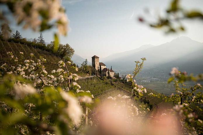 Dolce Vita Hotels Dolce Vita Hotels