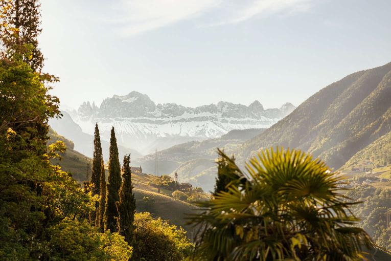 Mediterranean Flair in South Tyrol Mediterranean Flair in South Tyrol