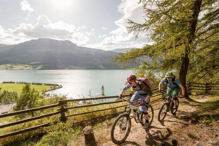 Mountain bike South Tyrol Mountain bike South Tyrol