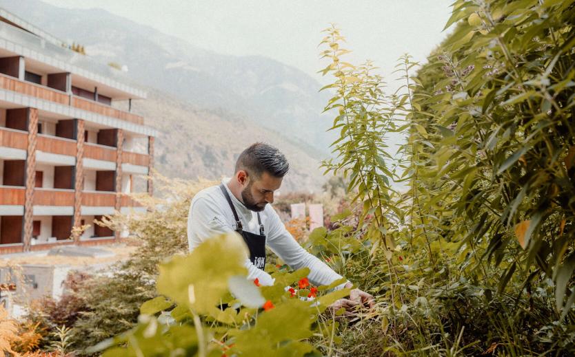 Sostenibilità ambientale ed ecologia