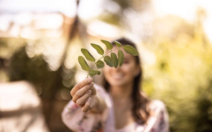 Sustainability and environmental protection Sustainability and environmental protection
