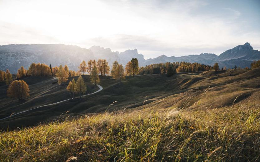 Visit The Dolomites Visit The Dolomites