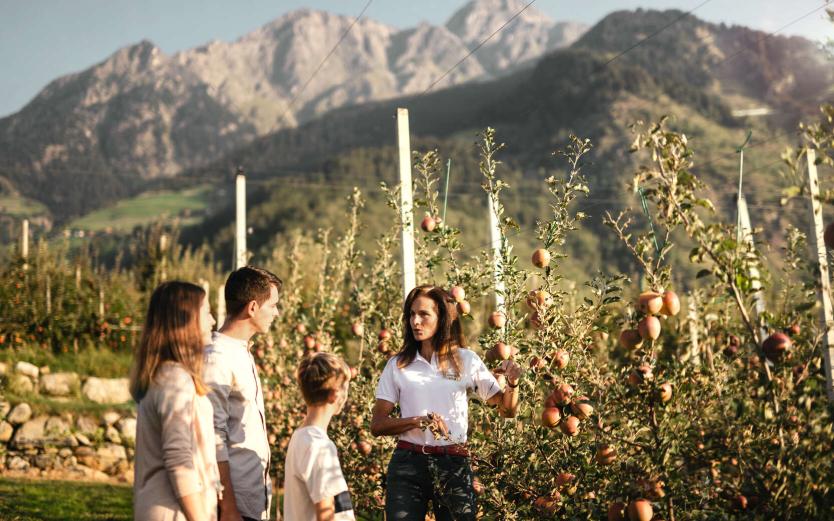 Ausflugsziele in Südtirol