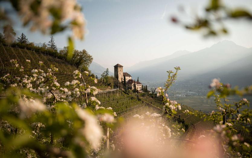 Holidays in South Tyrol – the first choice Holidays in South Tyrol – the first choice