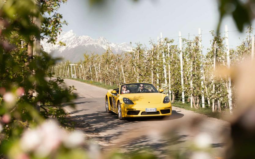 Holidays in South Tyrol – the first choice Holidays in South Tyrol – the first choice