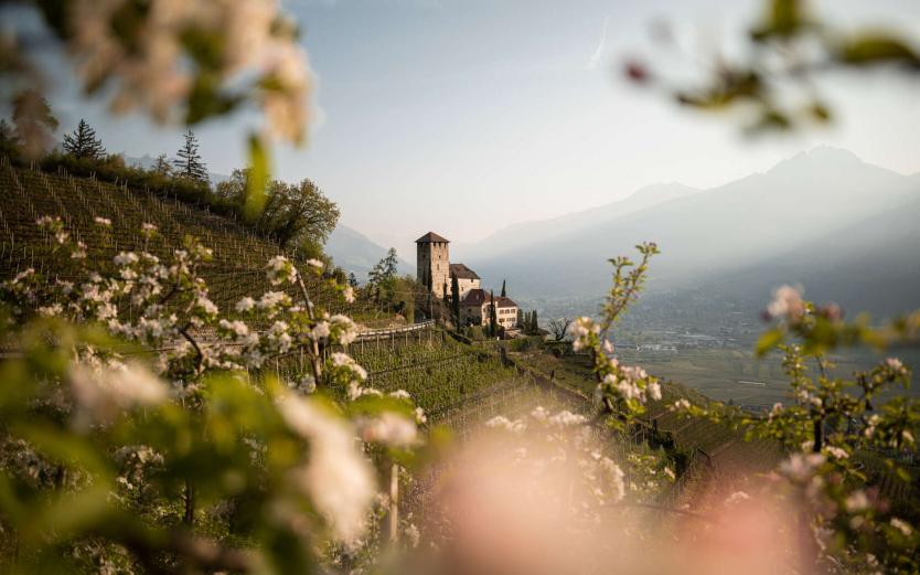 Sauna Around Wochen Sauna Around Wochen