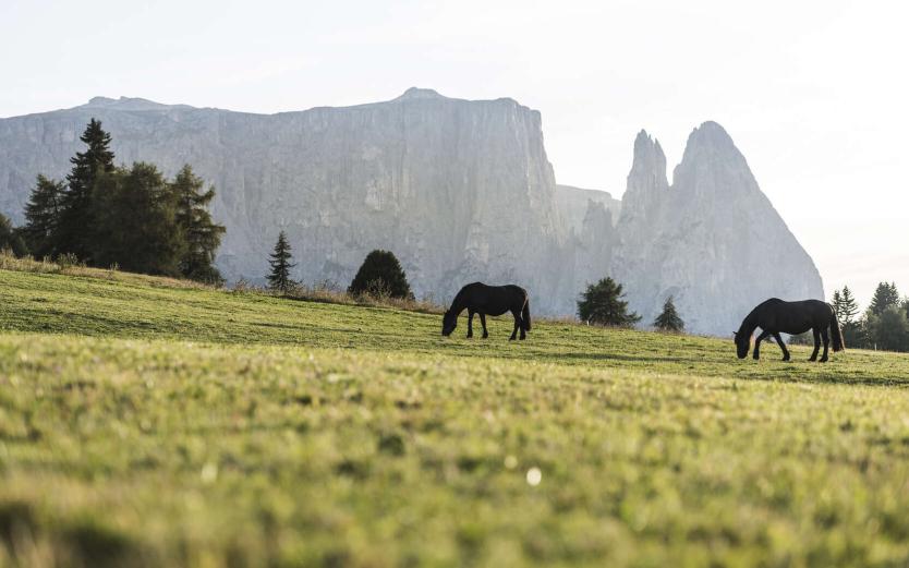 Visit The Dolomites Visit The Dolomites