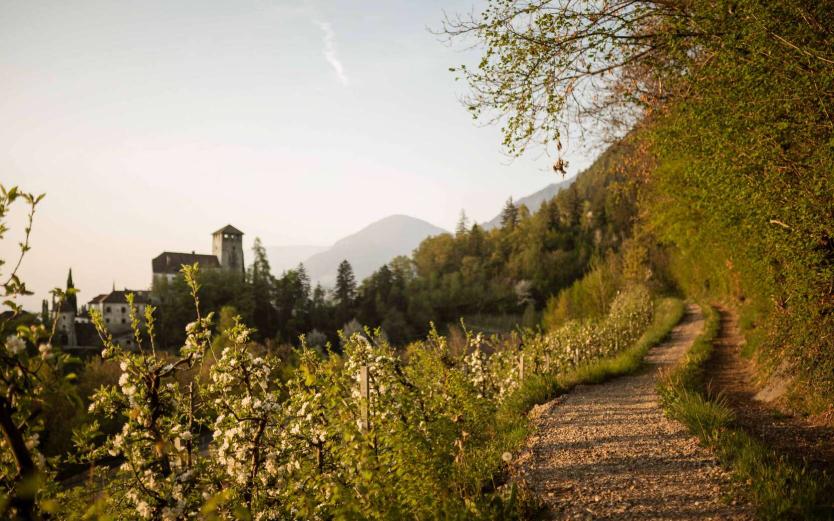 Wanderurlaub in Südtirol – Wo Natur auf Luxus trifft Wanderurlaub in Südtirol – Wo Natur auf Luxus trifft